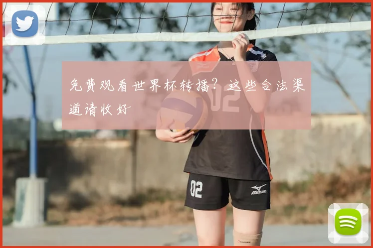 免费观看世界杯转播?这些合法渠道请收好