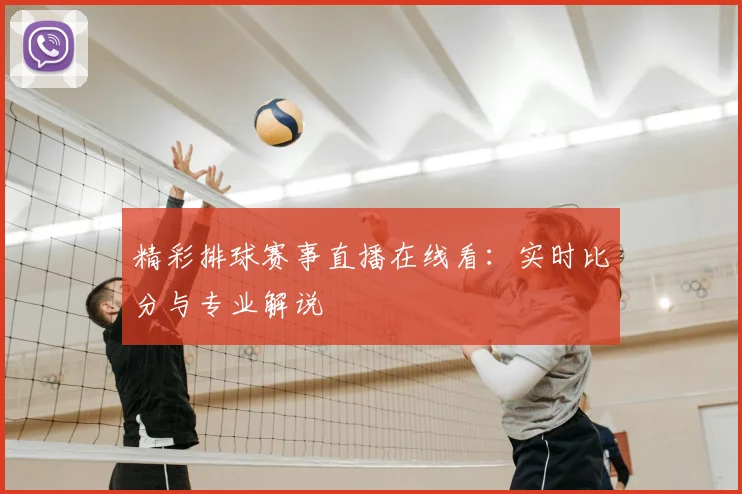 精彩排球赛事直播在线看:实时比分与专业解说