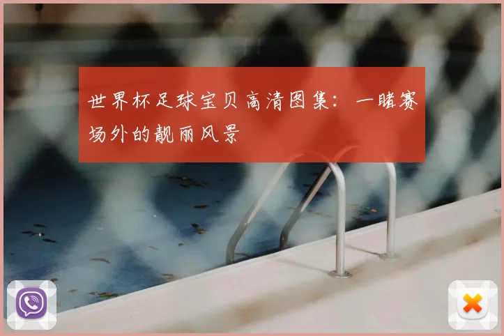 世界杯足球宝贝高清图集：一睹赛场外的靓丽风景